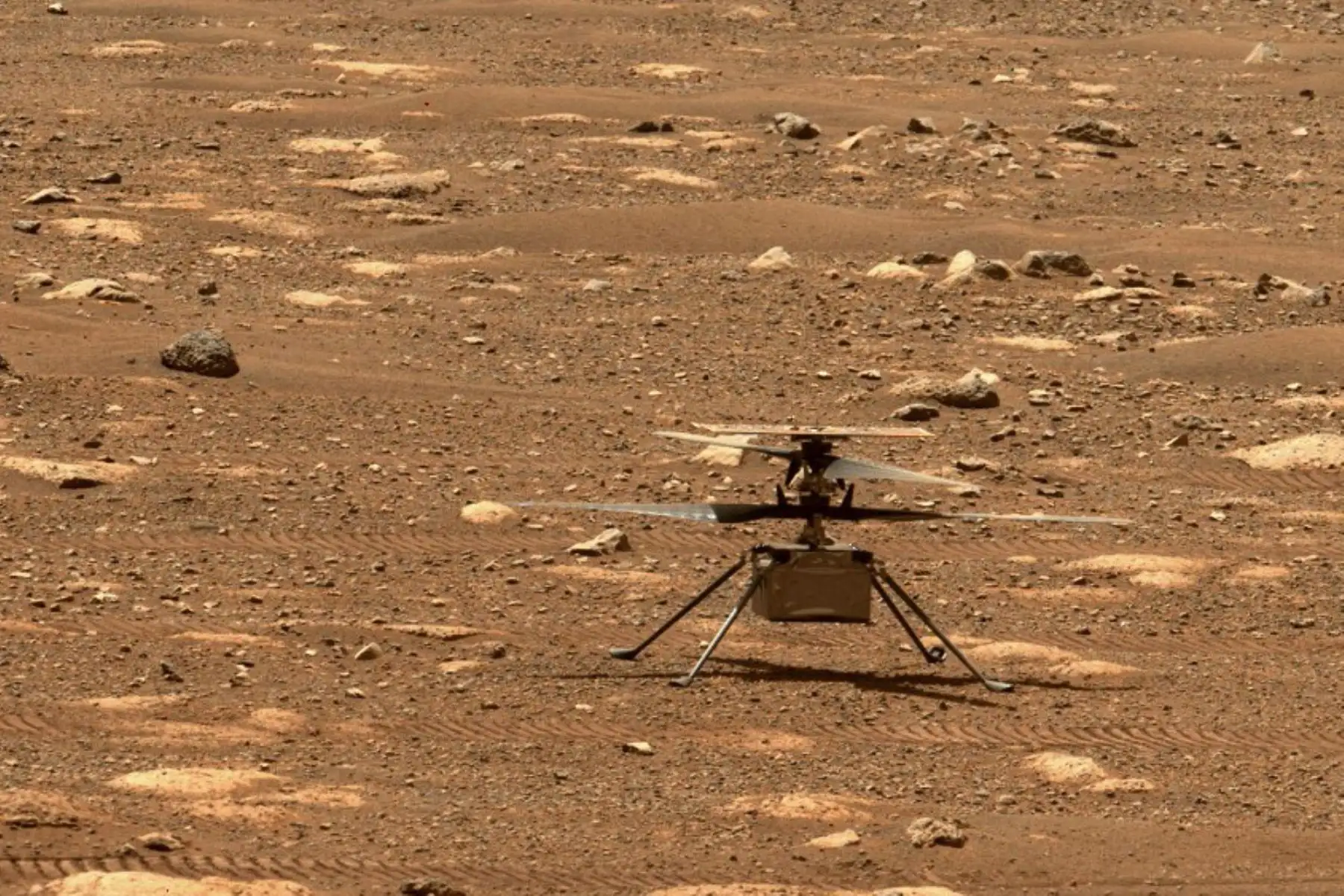 El helicóptero Ingenuity de la NASA desbloqueando las palas del rotor, lo que les permite girar libremente y pueda intentar el primer vuelo controlado y propulsado en otro planeta. Foto: AFP