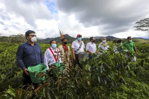 El proyecto de mejoramiento de los servicios de asistencia técnica y capacitación para el desarrollo de cinco cadenas productivas agrícolas de pequeños productores cuenta con una inversión de 10 millones de soles. Foto: ANDINA/Difusión