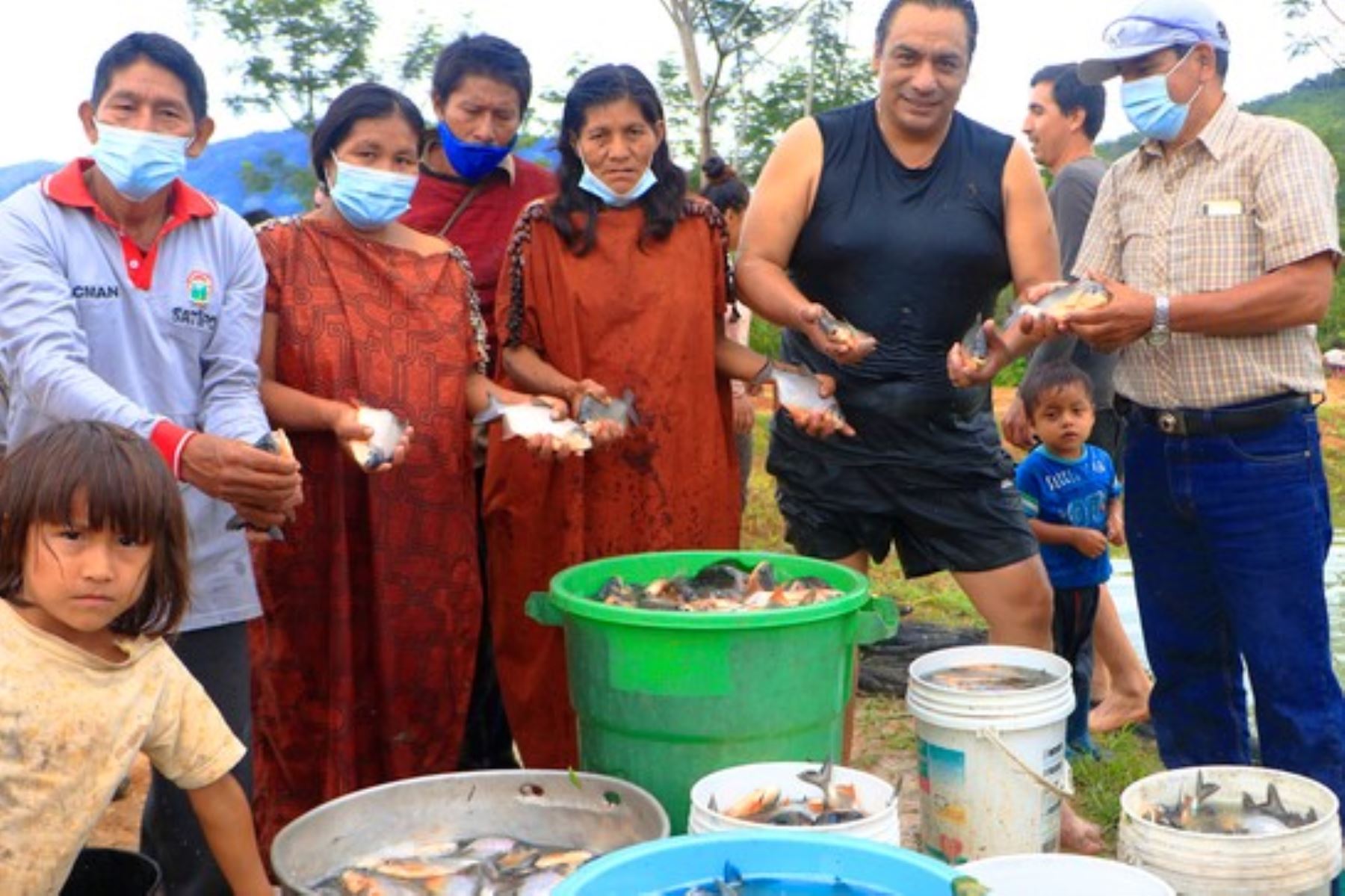 Primera cosecha de peces tropicales en la comunidad nativa de El Milagro, en la provincia de Satipo, Junín. Foto: Municipalidad de Satipo/Difusión