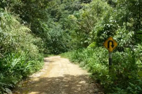 La sociedad civil presentó una propuesta para lograr una infraestructura vial sostenible que contribuya a reducir la deforestación amazónica.