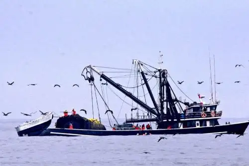Pesca.