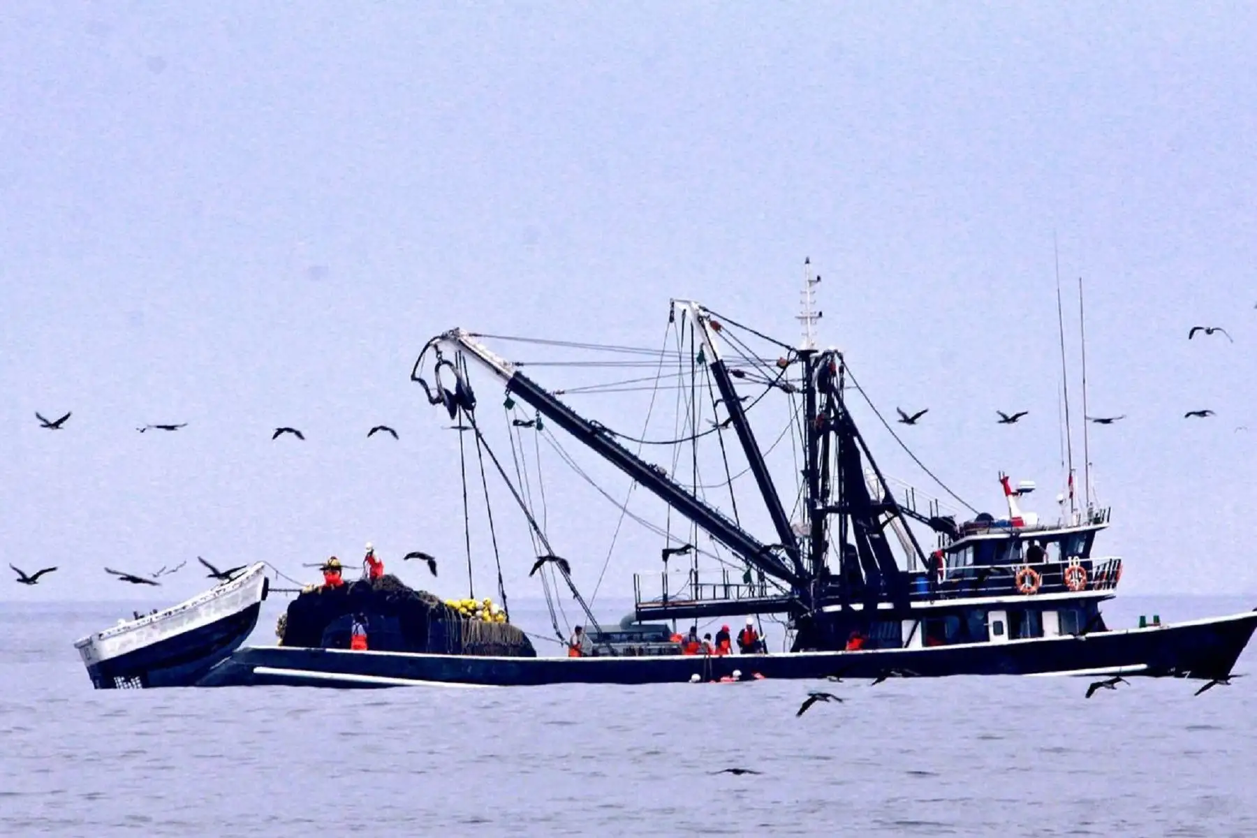 Pesca.