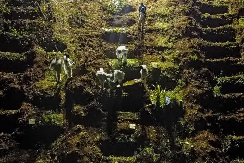 Brasil es el lugar del planeta donde más se muere por covid-19, con un promedio que supera los 3,000 decesos diarios. Foto: AFP.
