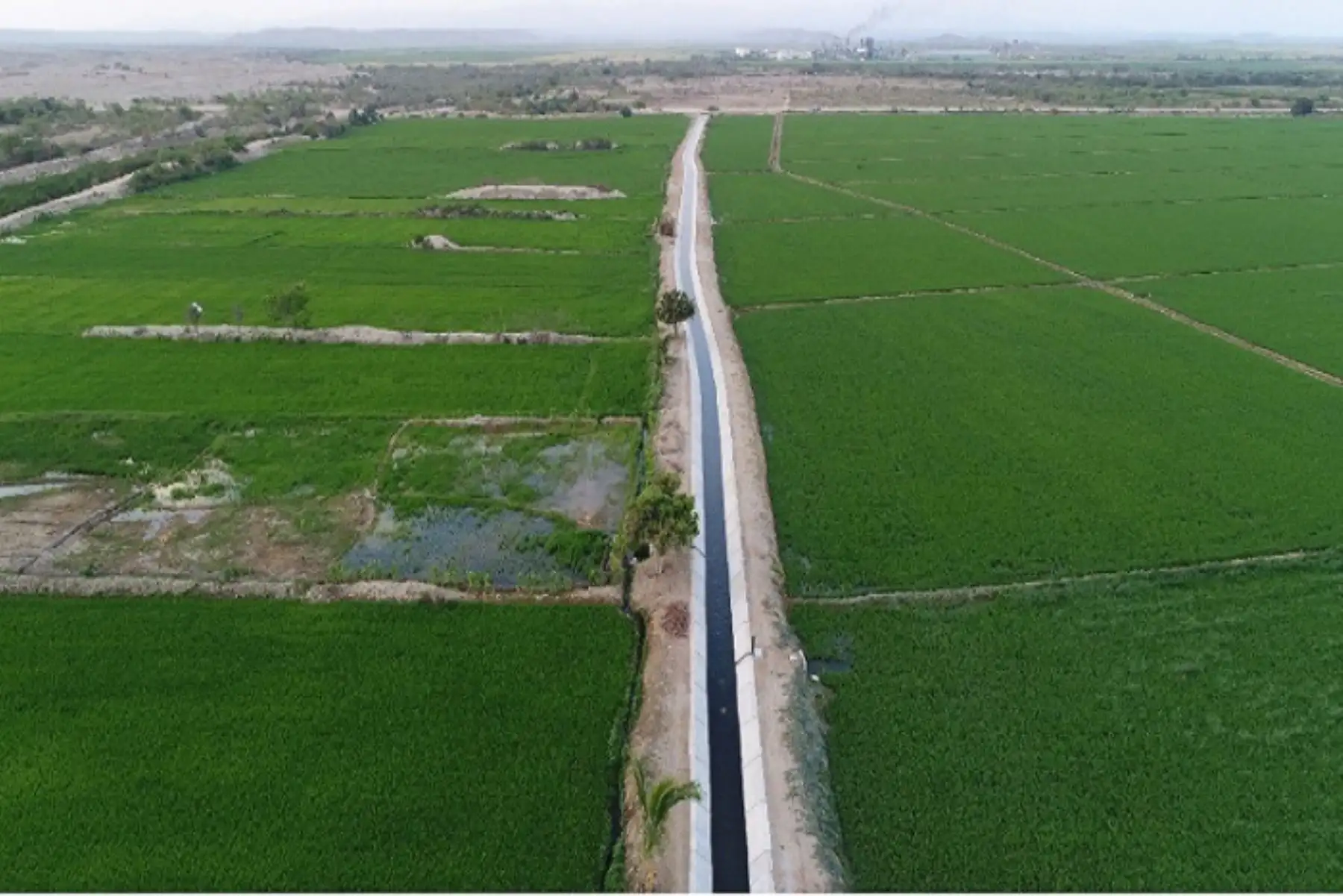 Canal de regadío. ANDINA/Difusión