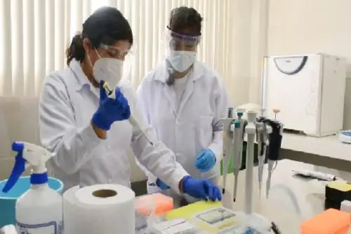 Participantes extranjeros proceden de Chile, Bolivia, Ecuador, México, Colombia, Nicaragua.