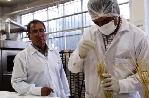 Foto: internet/medios.