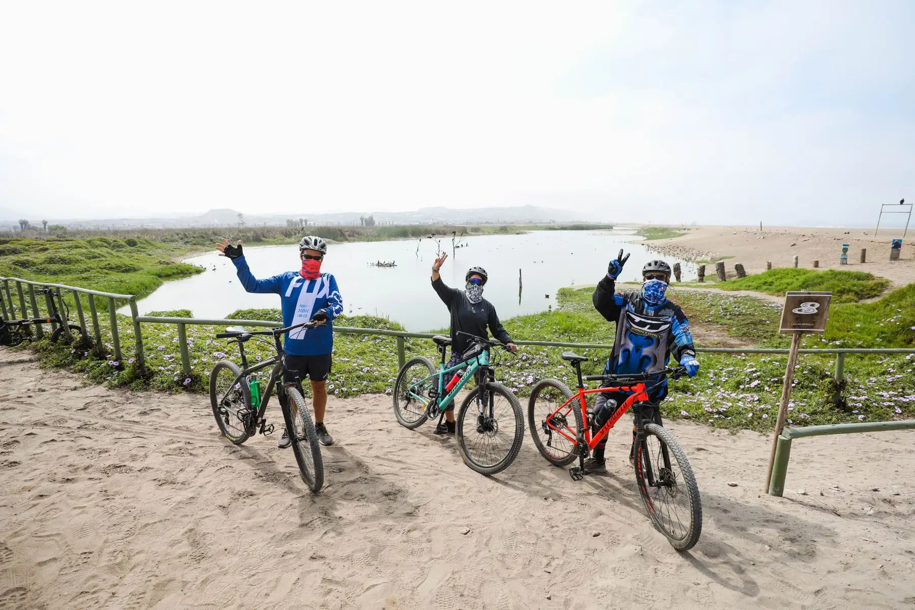Pantanos de Villa son visitados por ciclistas quienes pasan por todos los protocolos de seguridad antes de ingresar. Foto: MML