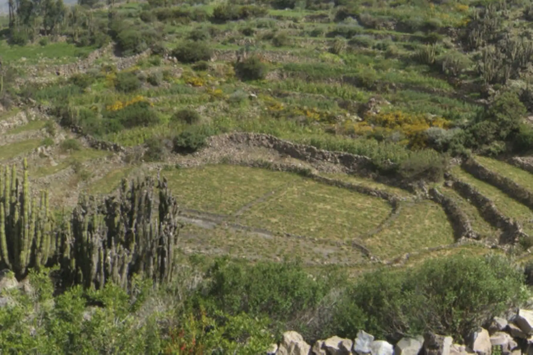 El geoparque mundial de la Unesco Colca y volcanes de Andagua alcanzó su designación internacional en el 2019.