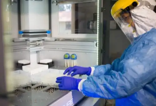 El Instituto de Investigación Nutricional (IIN) y la Universidad Peruana de Ciencias Aplicadas (UPC) desarrollaron un estudio dirigido a mostrar el impacto del covid-19 en regiones donde las enfermedades transmitidas por vectores, como el dengue, la fiebre chikunguña o el zika tienen carácter endémico.