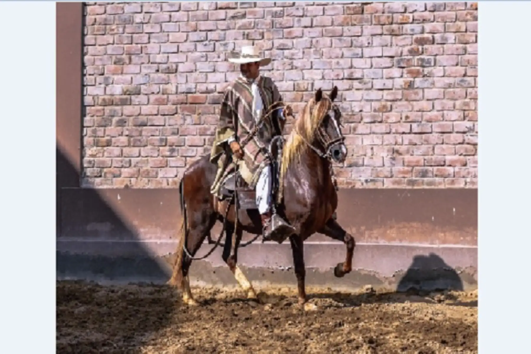 El Día del Caballo de Paso se conmemora cada tercer domingo de abril.