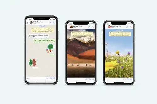 Los stickers se encuentran libres y gratuitos en la tienda oficial de WhatsApp. Foto: WhatsApp