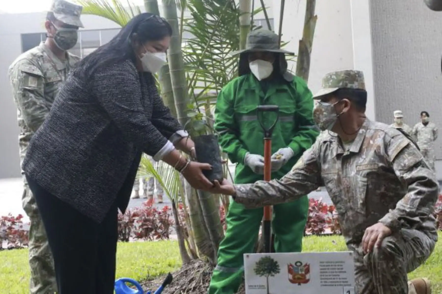 Ministra Nuria Esparch, participa del acto de plantación simbólica del árbol de la quina. En el Día de la Tierra, se lanza la campaña "La Quina del Bicentenario, revaloremos nuestro árbol emblema", en simultáneo en diversos puntos del país. Desde el Cuartel General del Ejército. Foto: ANDINA/MINDEF