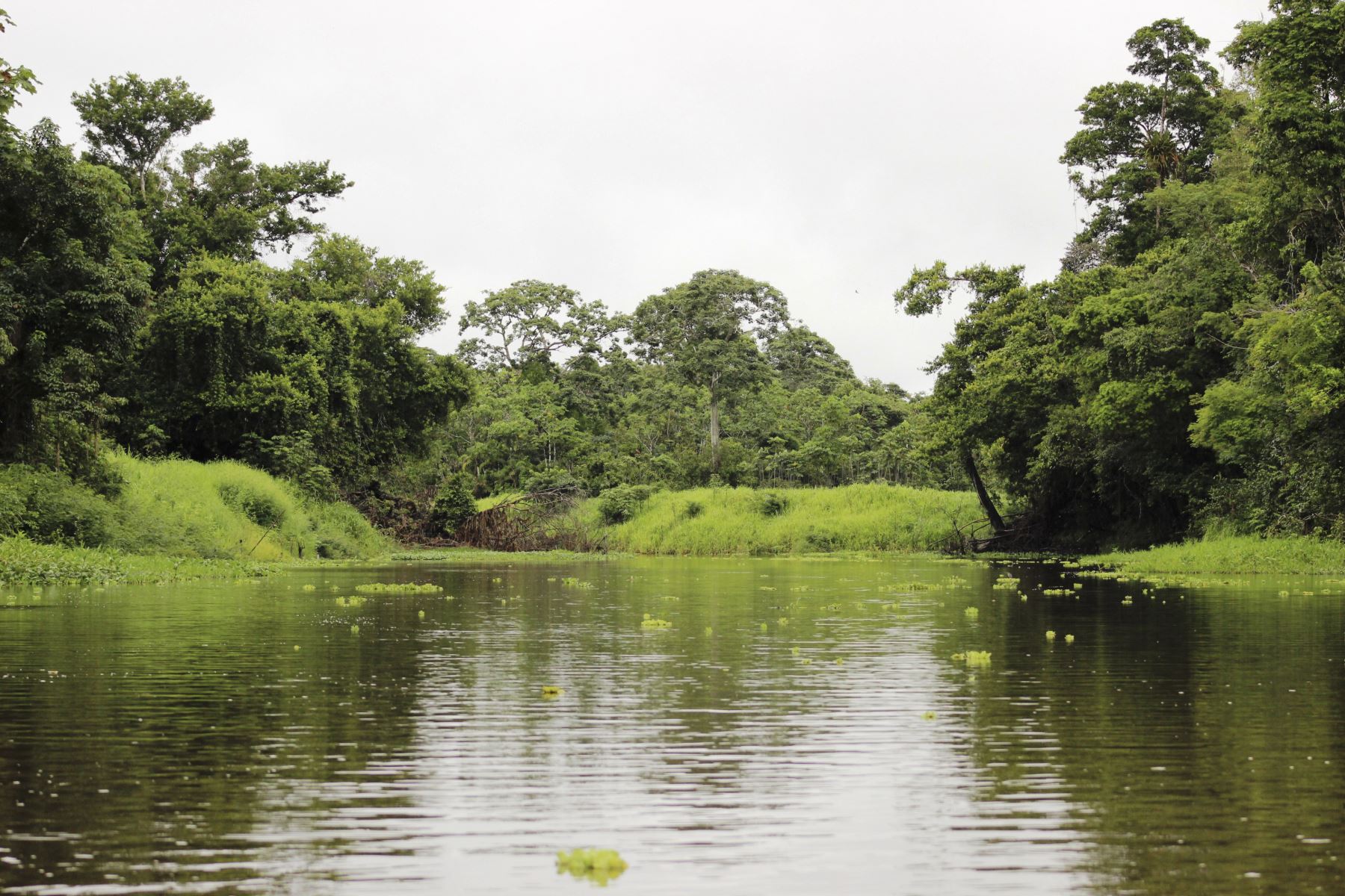 Cuenca del Yanayacu - Rio Amazonas. Foto: Ramsar Perú