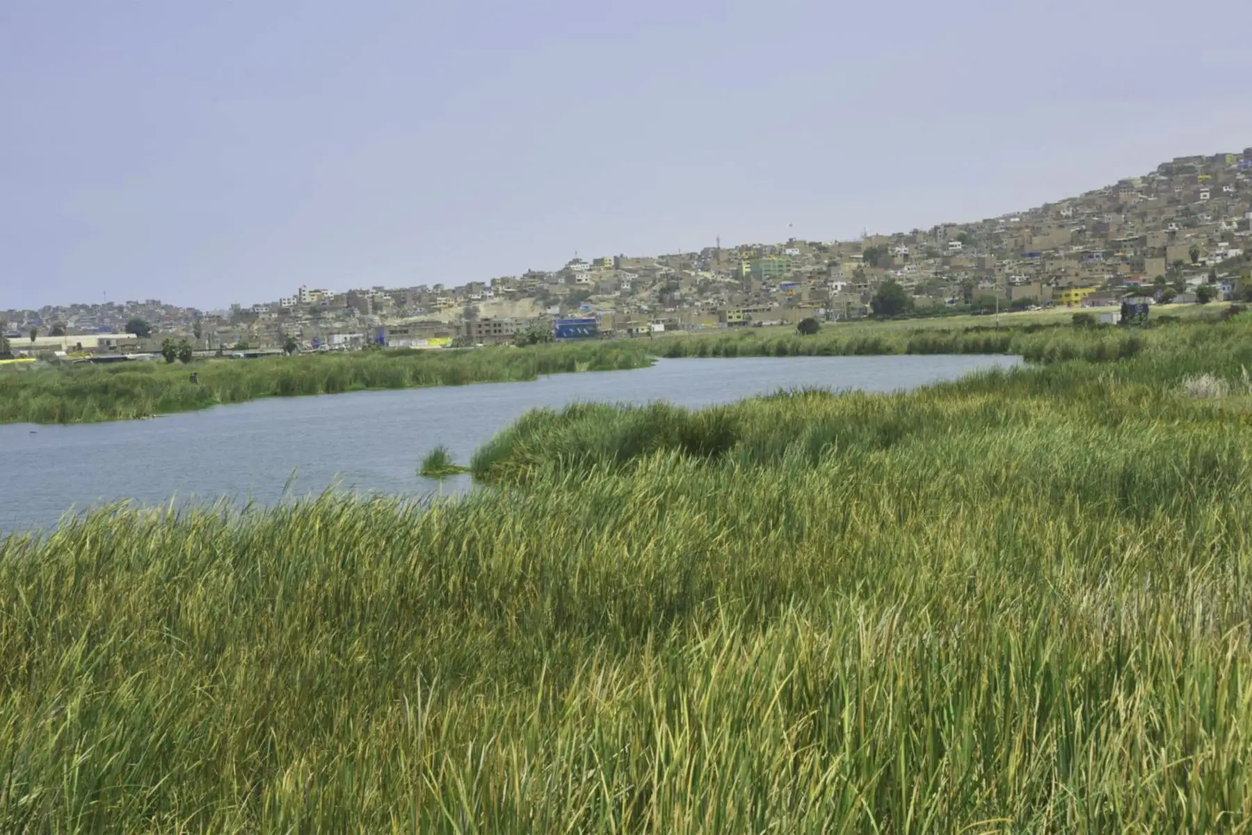 Pantanos de Villa. Foto: Ramsar Perú