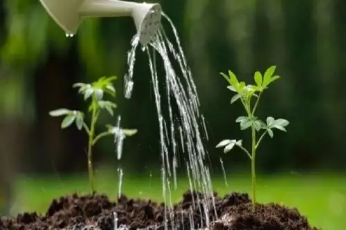Peruanos ponen más atención en cuidado del medio ambiente.
