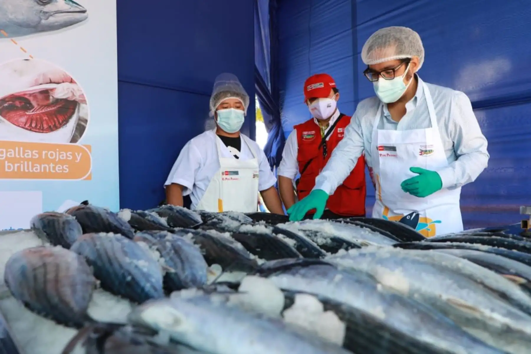 Desde Junín, el ministro José Luis Chicoma
 visita la feria Mi Pescadería, organizada por 
el programa "AComerPescado"
que pone al alcance de las familias pescado nutritivo y a precios de promoción.

Foto:ANDINA/ Ministerio de la Producción