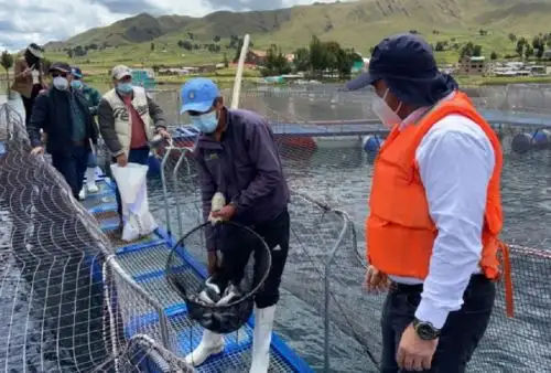 Foto: ANDINA/difusión.