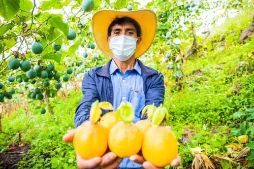 Granadilla.