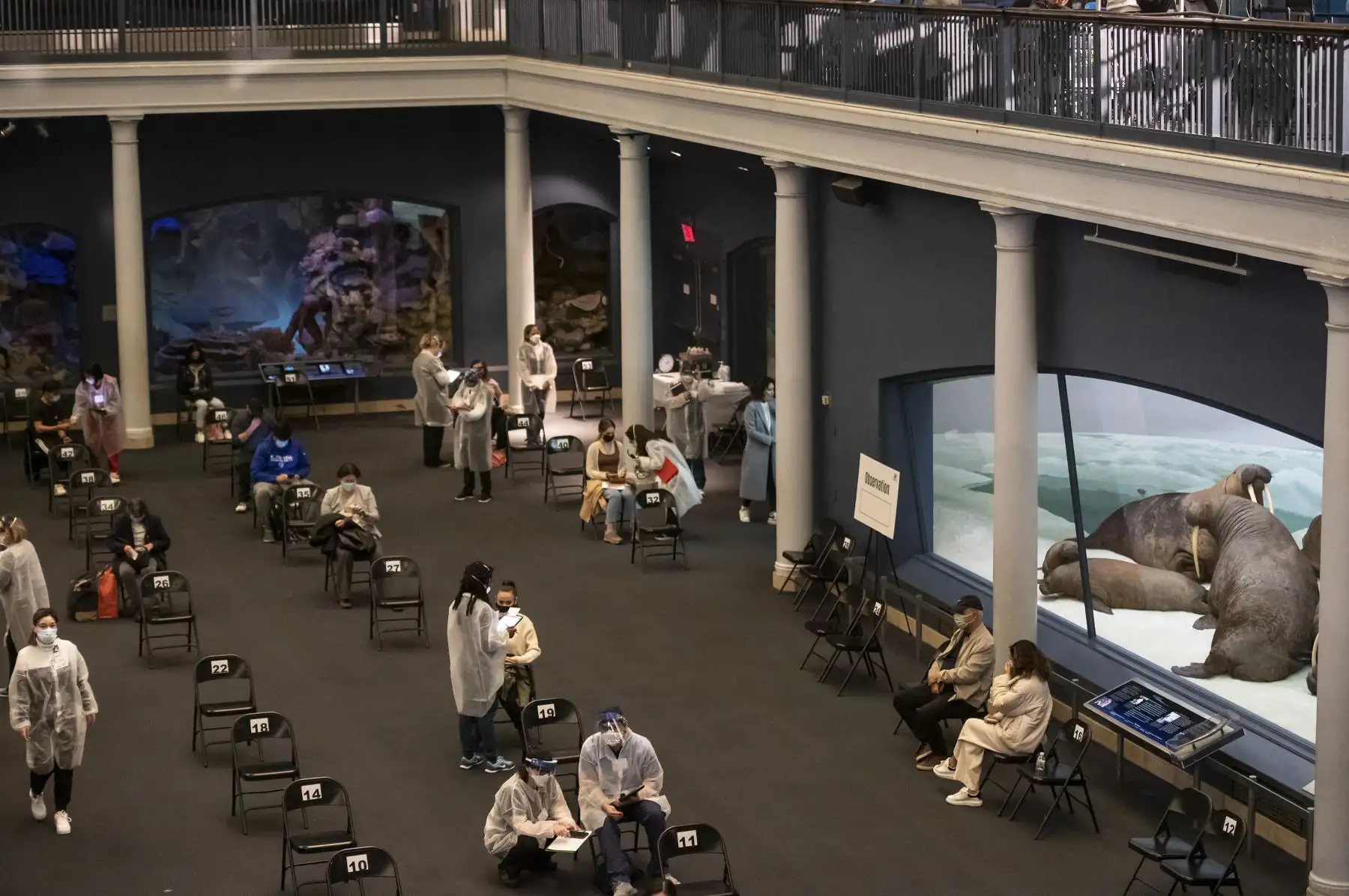 Una vista general de un nuevo sitio de vacunación en el Museo Americano de Historia Natural, el 23 de abril de 2021, en la ciudad de Nueva York. Foto: AFP