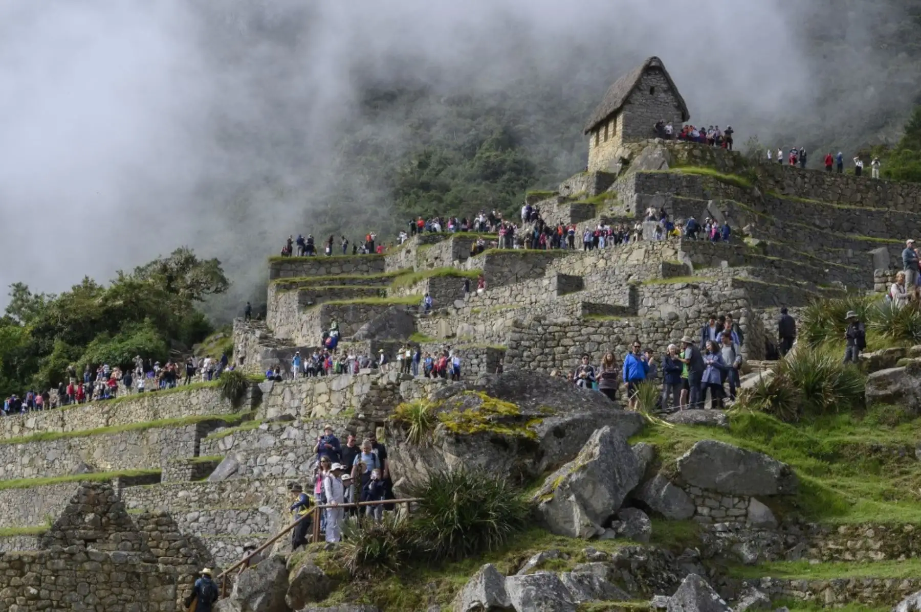 Vista general de la ciudadela inca de Machu Picchu. 

Foto: AFP