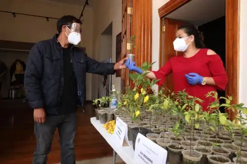 busca promover la recuperación del ají mochero como producto representativo de la tradición agrícola y culinaria de región La Libertad.