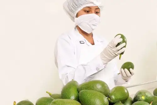 Se busca impulsar el emprendimiento enfocado en la innovación y la transformación digital