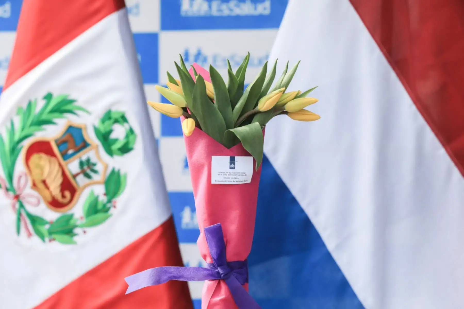 Los Países Bajos brindan reconocimiento a EsSalud por su manejo durante la crisis sanitaria por la covid-19

Foto:ANDINA / ESSALUD