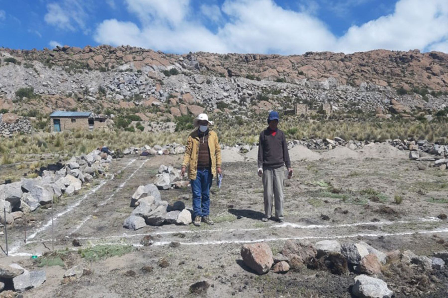 Con el trazado en terreno definitivo y excavaciones se inició la construcción de cobertizos en Candarave, Palca y Tarata. Foto: ANDINA/Agro Rural