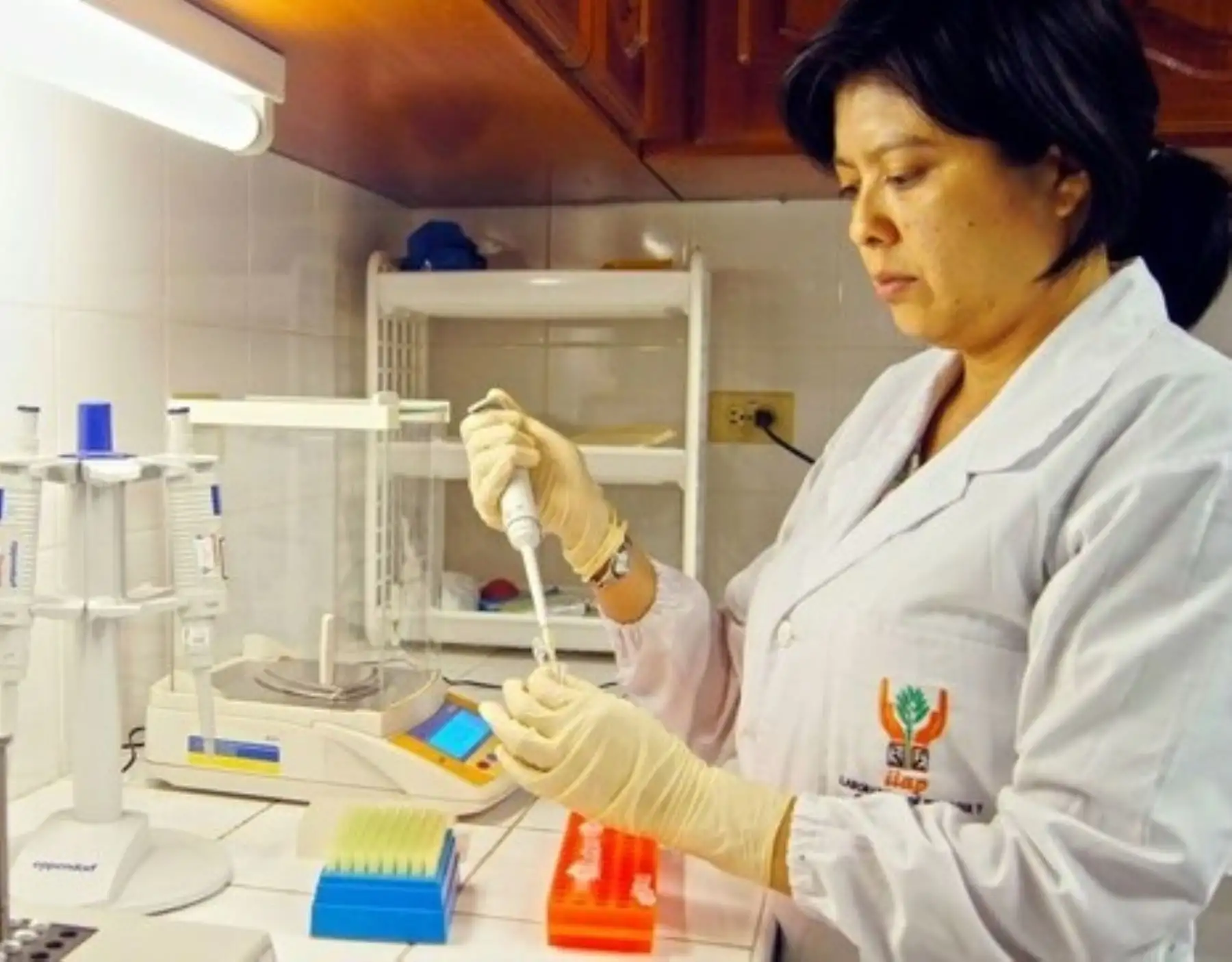 El Instituto de Investigaciones de la Amazonía Peruana (IIAP) y el Centro de Innovación Científica Amazónica (Cincia) unen esfuerzos para solucionar problemas ambientales en Madre de Dios generados por la minería ilegal. ANDINA/Difusión