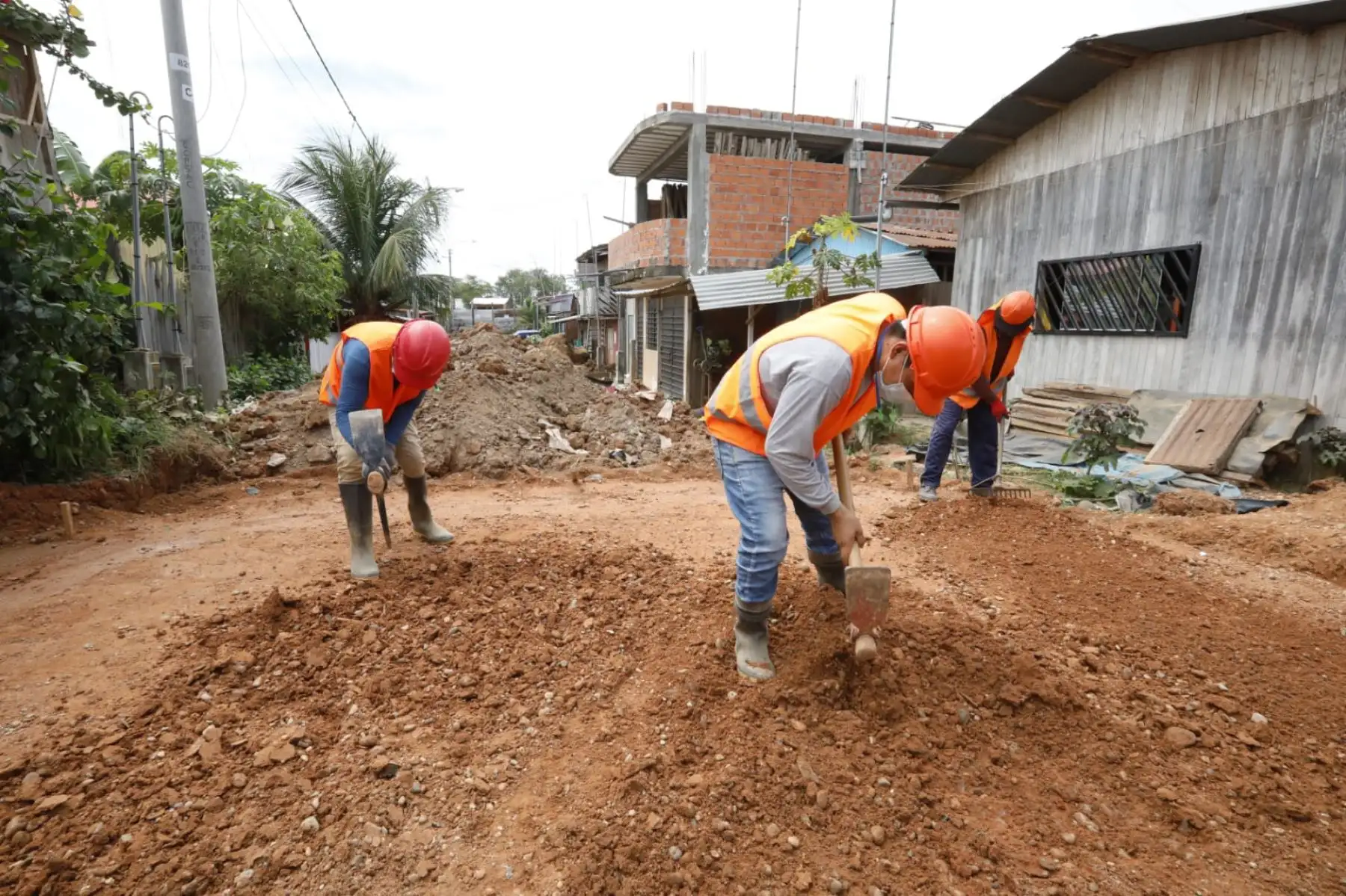 Foto: ANDINA/Difusión.