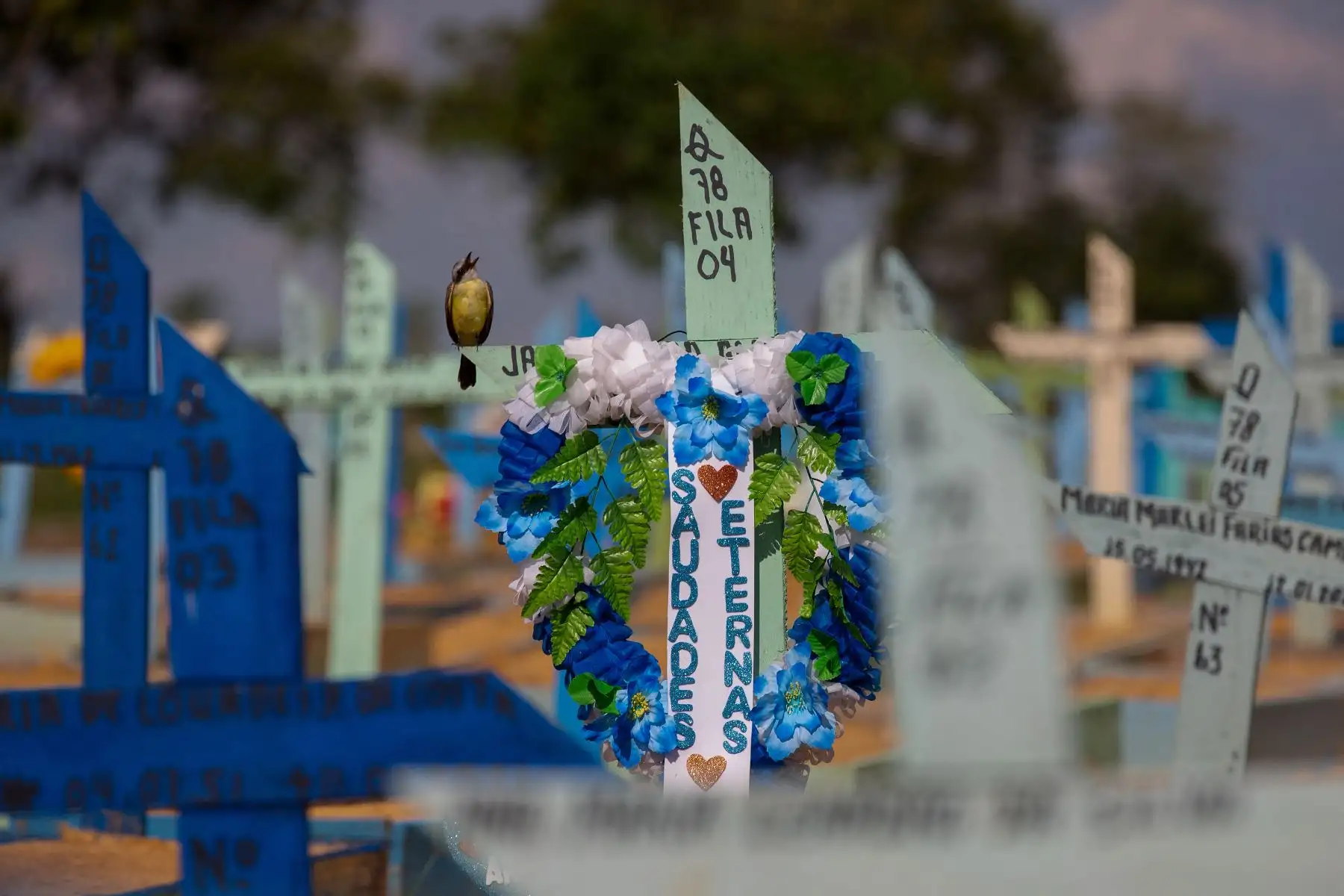 Tumbas de las víctimas del COVID-19 en el cementerio de Nossa Senhora Aparecida en Manaus, estado de Amazonas, Brasil, el 29 de abril de 2021. Foto: AFP
