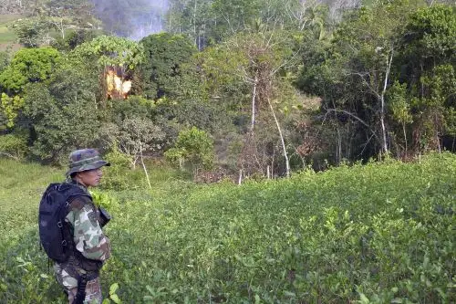 AFP