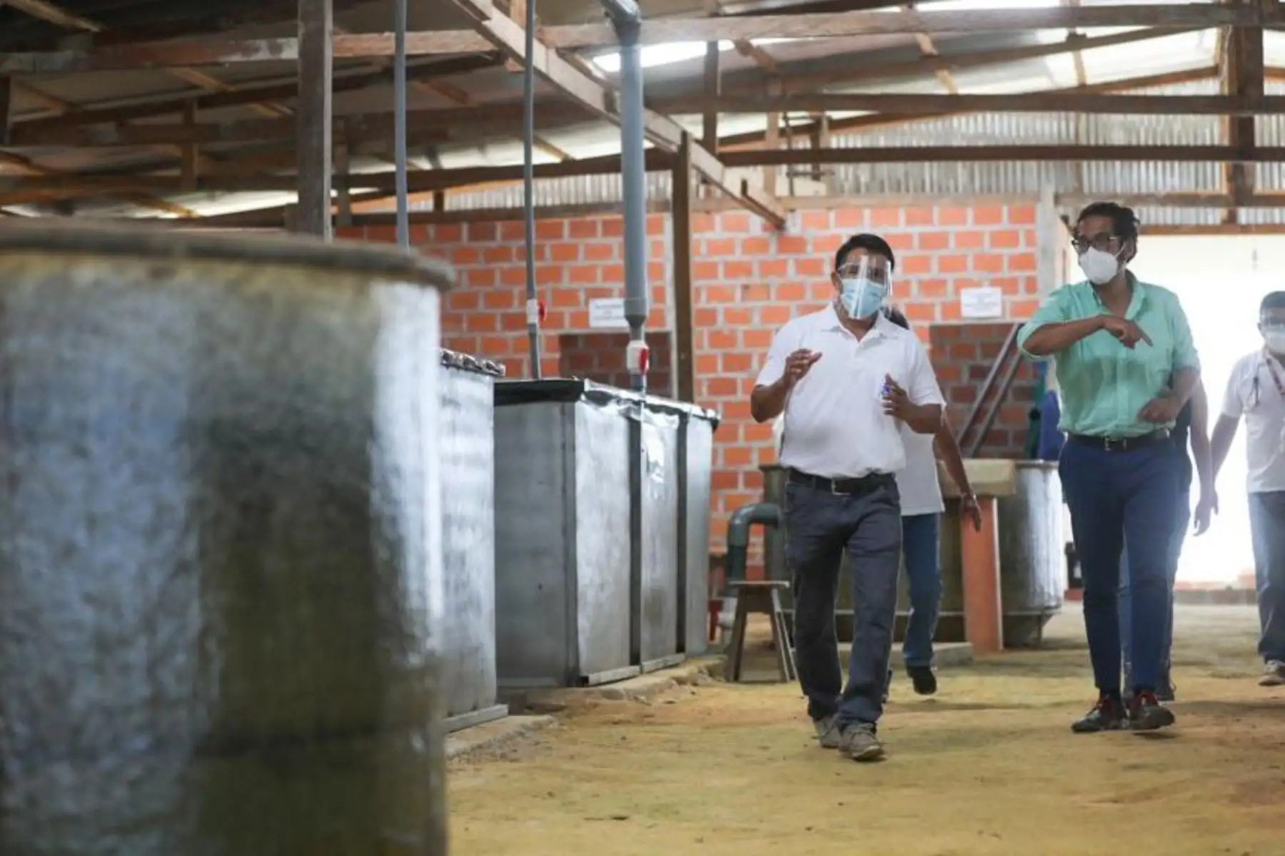 El ministro de la Producción, José Luis Chicoma, visitó el Fundo Verástegui, empresa familiar dedicada a la producción y comercialización de carne de gamitana y paco en la zona de Yurimaguas; y las instalaciones de la Cooperativa Agroindustrial del Palmito Apropal, empresa dedicada al cultivo, producción y comercialización de conservas de palmito, en San Martín. Foto: Produce