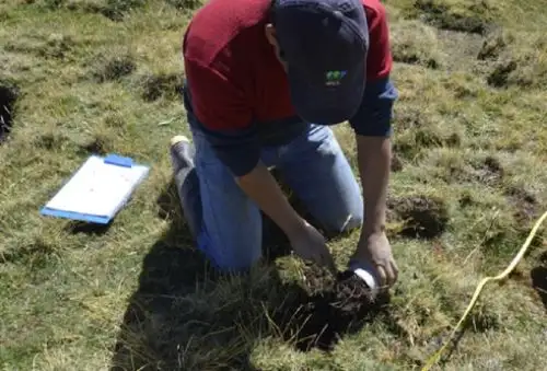 Una investigación del Instituto Nacional de Investigación en Glaciares y Ecosistemas de Montañas (Inaigem), entidad adscrita al Ministerio del Ambiente (Minam), identificó tres especies vegetales con capacidad para remediar la contaminación de agua y suelos por metales en los nevados de la región Áncash.