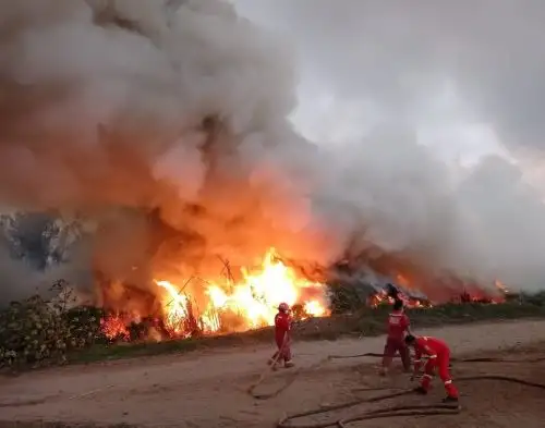 Un incendio forestal destruye 35 hectáreas de pastizales en el distrito de Nepeña, provincia del Santa, región Áncash, informó el COER. Foto:ANDINA/Difusión.