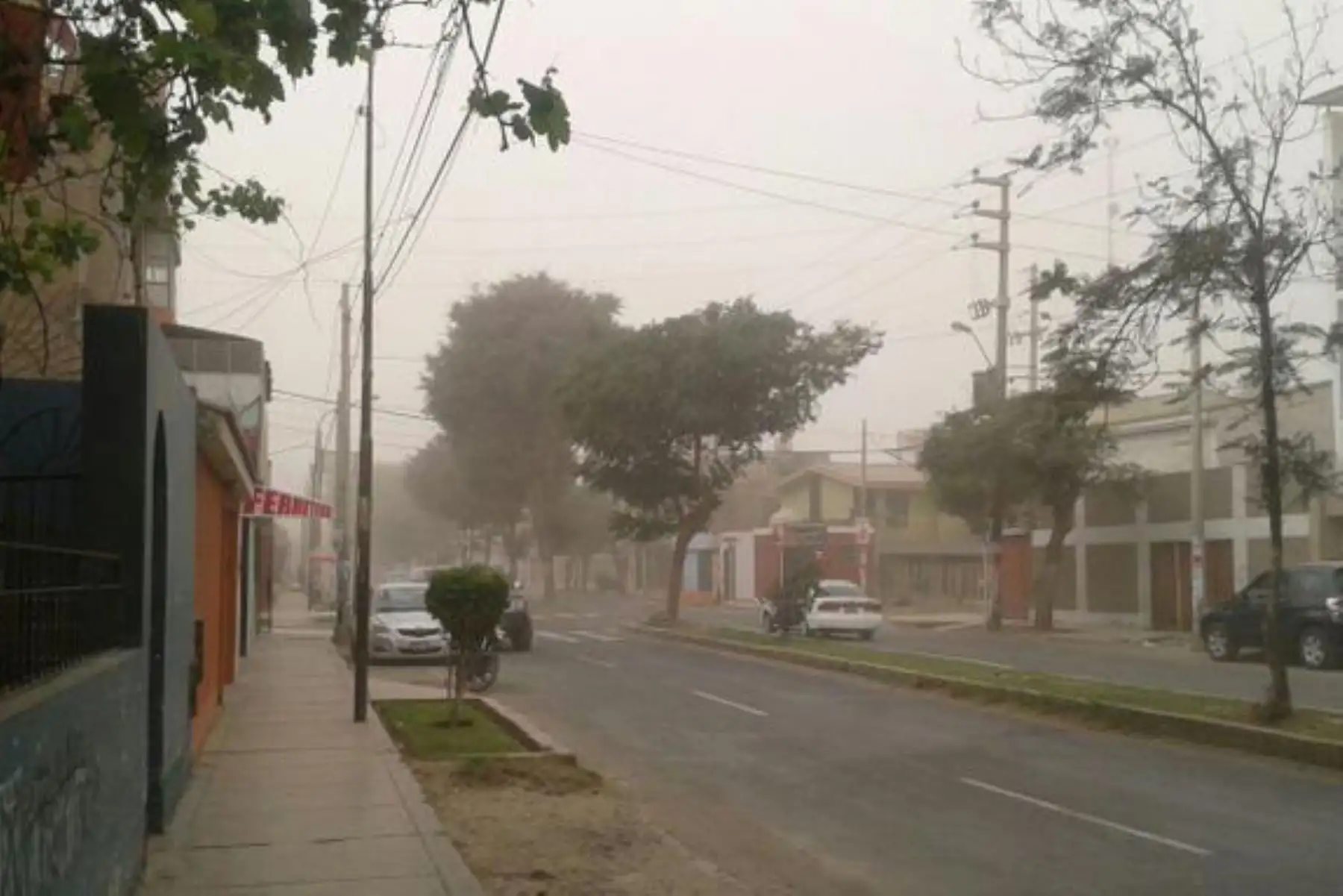 En la Selva también aumentará la velocidad del viento, pero de ligera a moderada intensidad. ANDINA/Difusión
