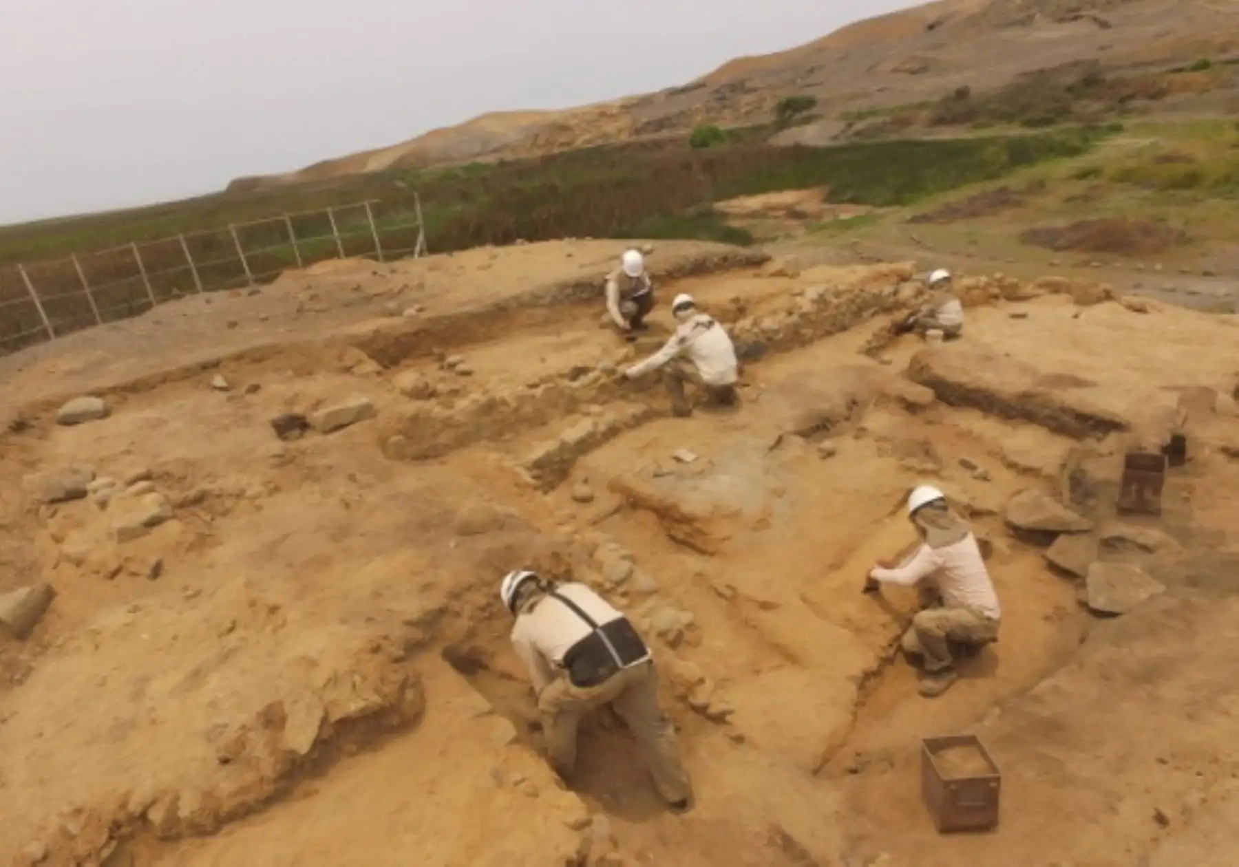 Gracias al programa Caral en la Escuela de la ZAC, los niños y jóvenes de los colegios de la provincia de Barranca han recibido clases especiales sobre la Civilización Caral y visitaron los sitios arqueológicos.