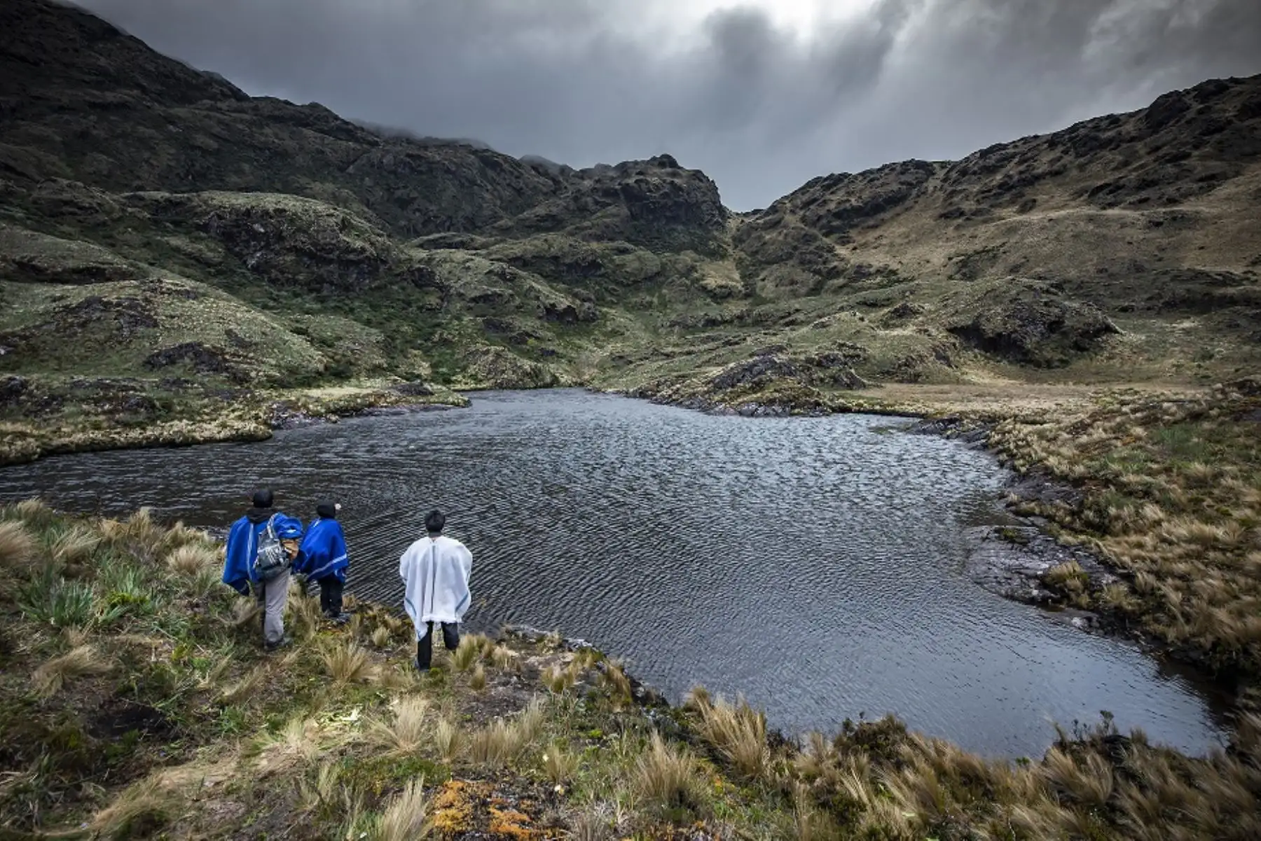 La segunda área de conservación regional creada en Cajamarca se llama Páramos y Bosques Montanos de Jaén y Tabaconas, que comprende territorios de las provincias de Jaén y San Ignacio. Su objetivo es conservar la mayor extensión de páramo en esta región al albergar más de 8,000 hectáreas de este ecosistema.  ANDINA/Difusión