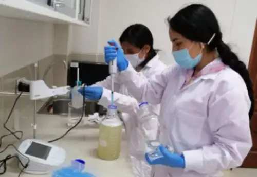 Concytec visibiliza trabajos de investigación que promueven la competitividad en ocho regiones del país. ANDINA/Difusión