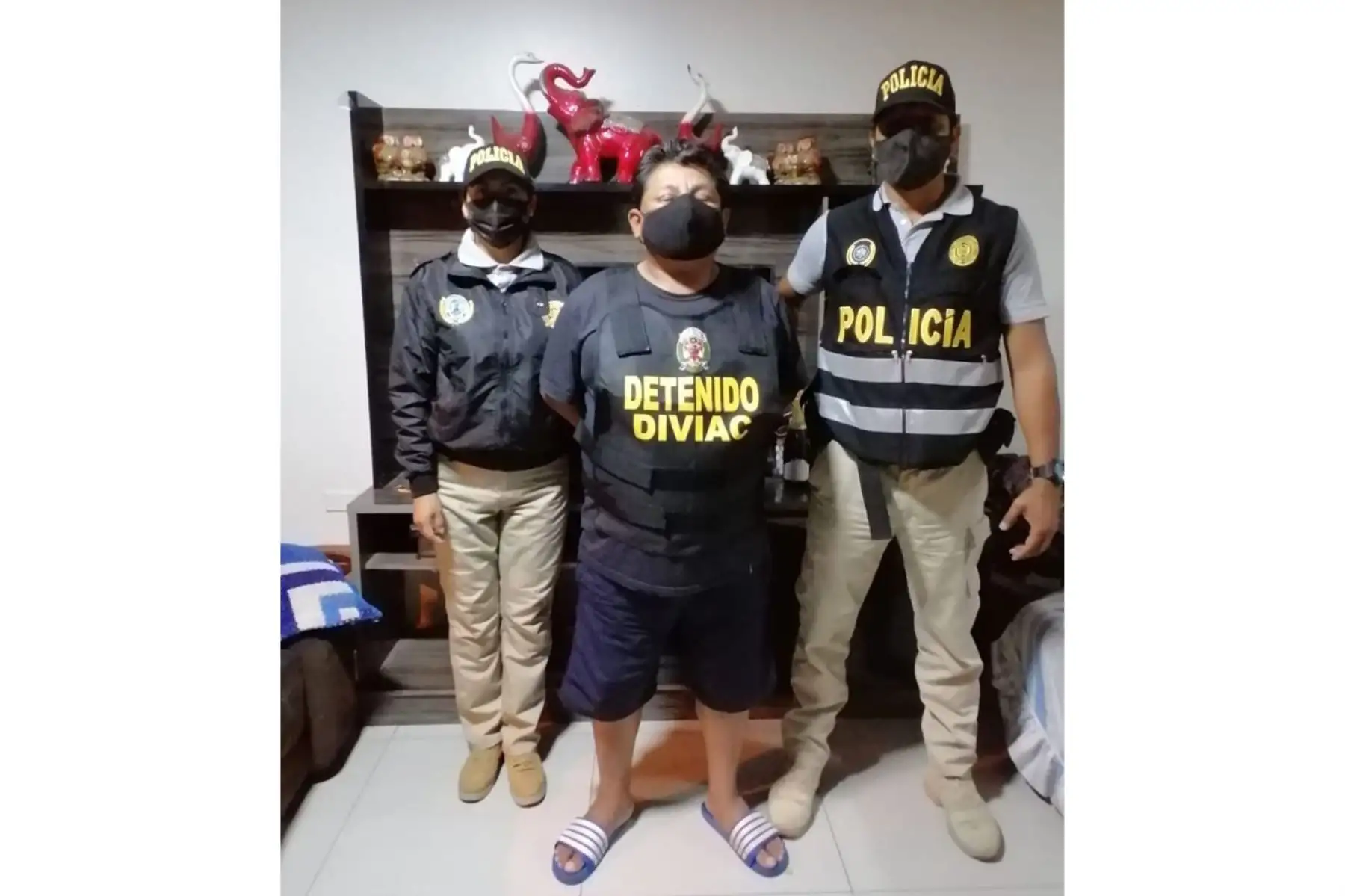 En un nuevo megaoperativo, más de 300 efectivos de la Policia Nacionalo del Perú y 20 representantes de la Fiscalía capturaron a 10 integrantes de la organización criminal Los Ligeros del Sur, quienes se dedicaban al robo de vehículos y extorsión en Lima Metropolitana. Foto: Mininter
