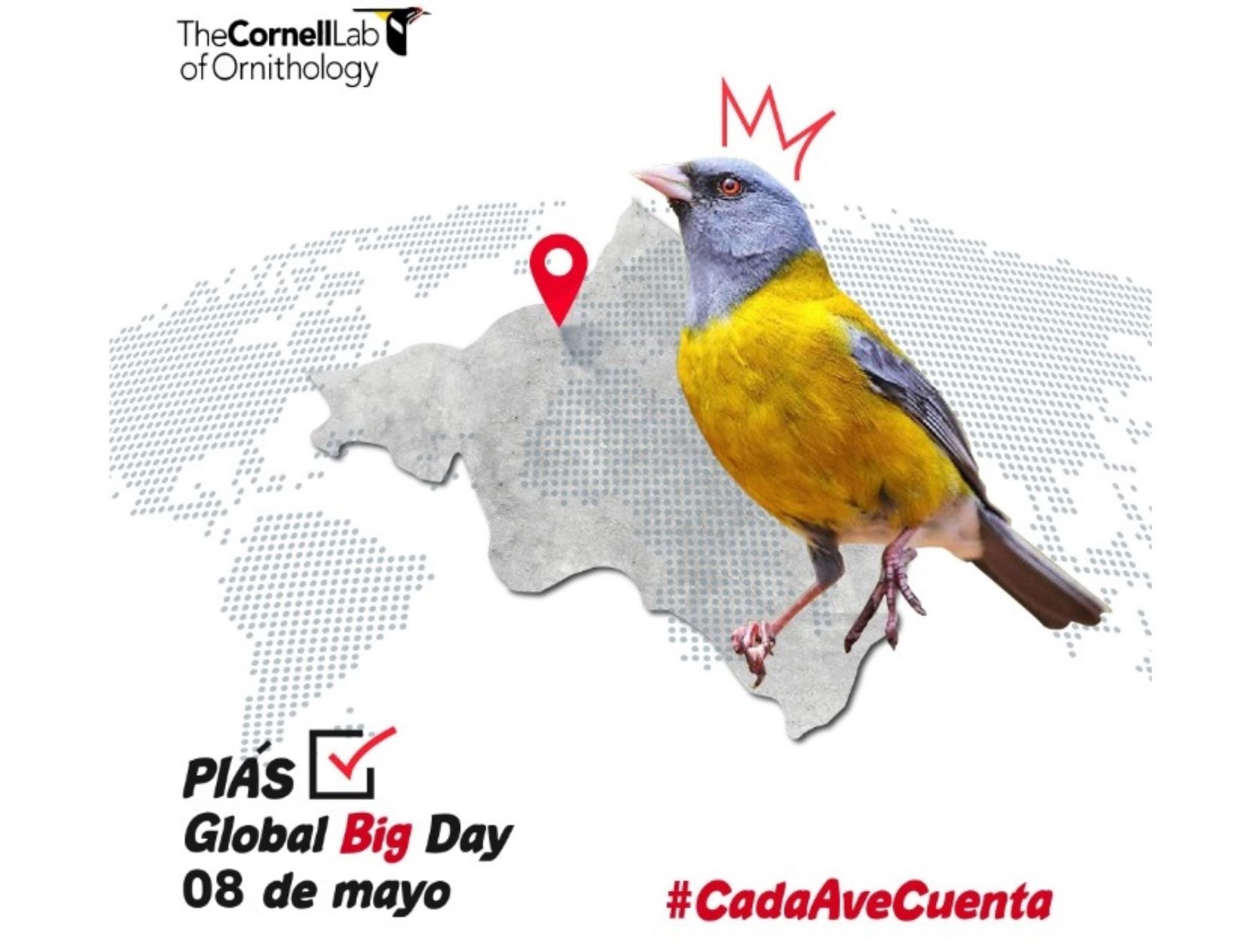 El distrito de Piás, en La Libertad, quiere convertirse en la estrella del Global Big Day 2021 y registrar el mayor número de aves en un día en el Perú. ​ANDINA/Difusió