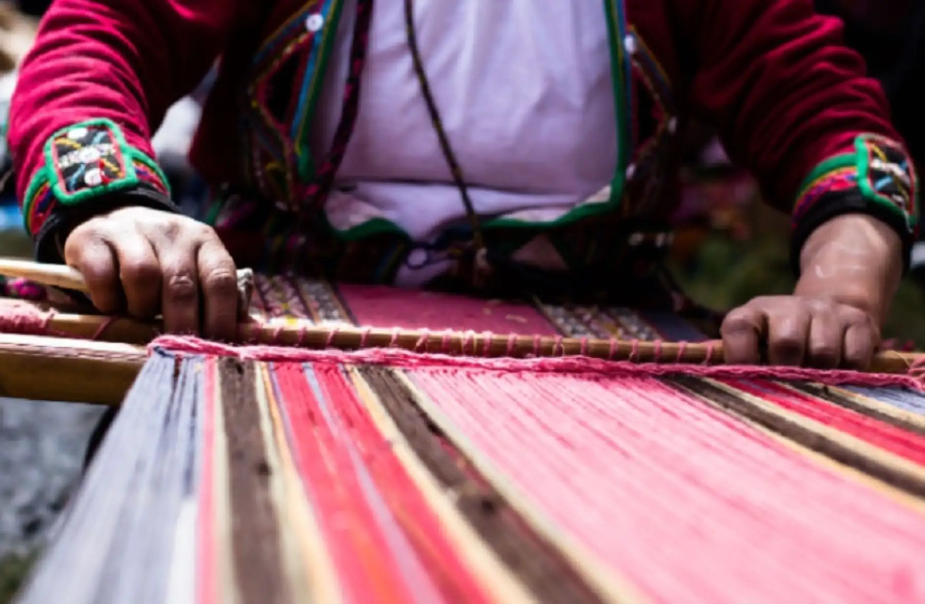 Productores, especialistas, empresarios, exportadores, funcionarios públicos y demás agentes involucrados en la cadena de valor de la fibra de alpaca, cuyo pastoreo y cuidados en el Perú involucra a casi 82 mil productores de zonas altoandinas, se reunirán virtualmente durante tres días con el objetivo de conocer las acciones que realiza el Estado y las empresas en este sector, así como identificar las barreras que impiden su crecimiento y desarrollo.