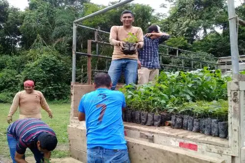 Cáritas promueve medidas ante cambio climático para más de 1000 familias en Loreto. Foto: Difusión
