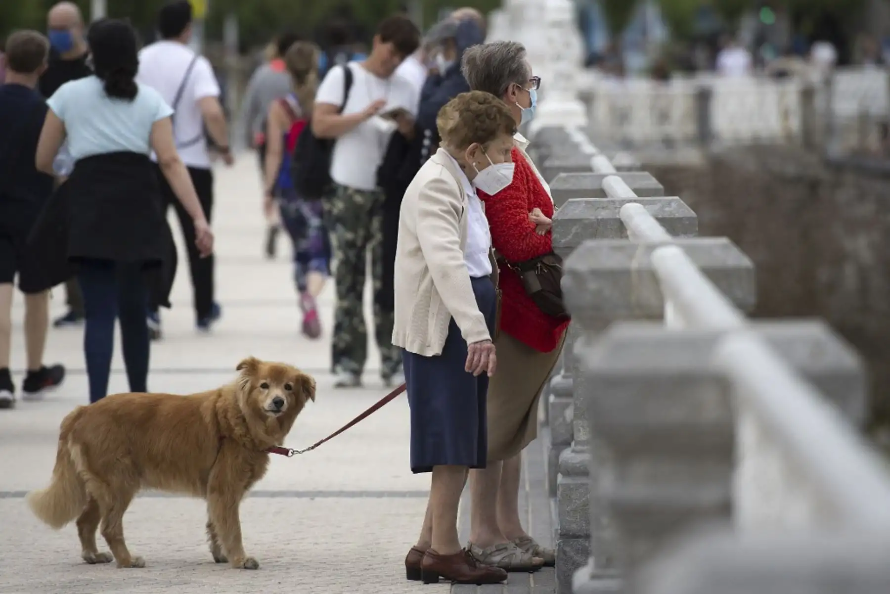 Dos ancianas pasean a un perro mientras miran al mar desde una explanada a lo largo de la playa de La Concha en San Sebastián. Foto: AFP