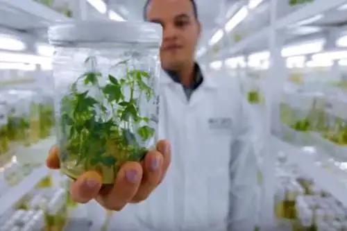 Foto: Instituto Nacional de Innovación Agraria (INIA)