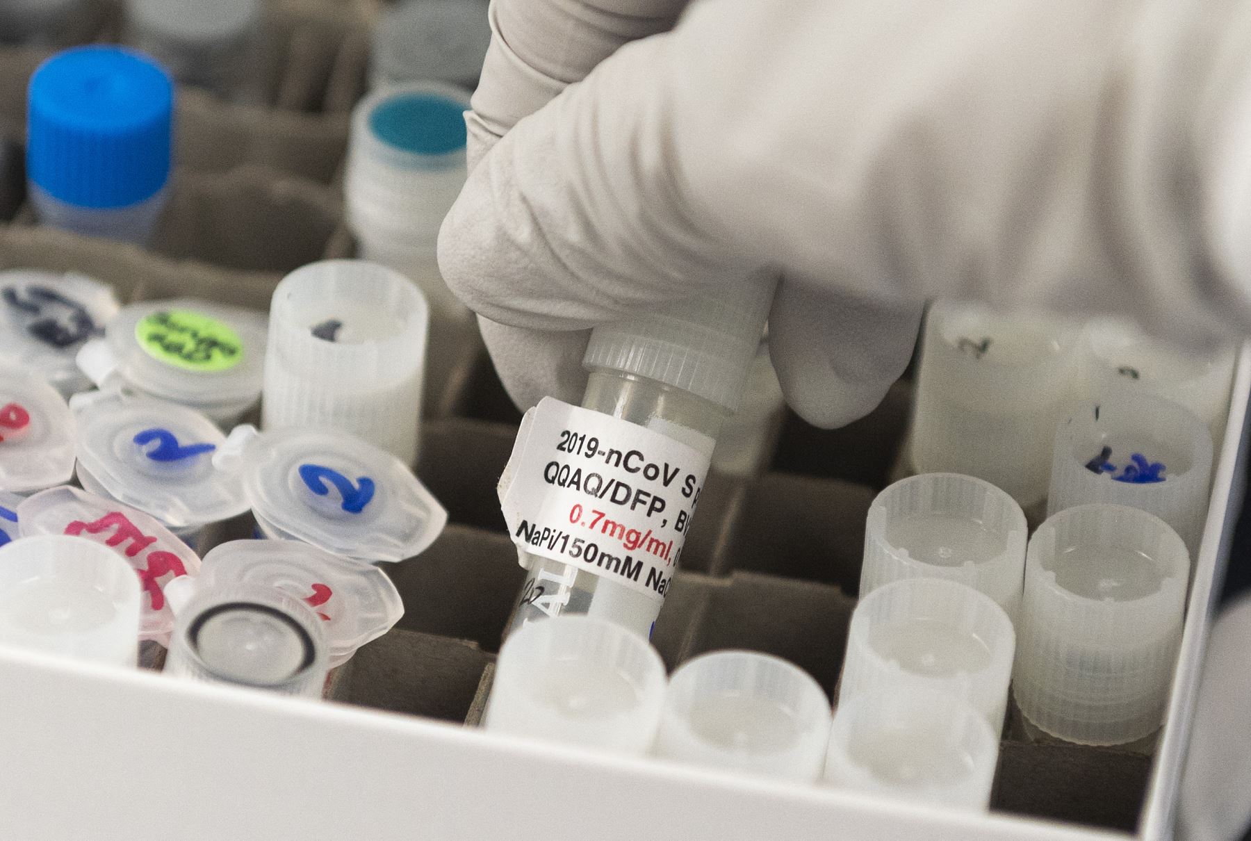 La nueva vacuna combina las dosis de NanoFlu y la NVX-CoV2373, que se encuentran por separado en ensayos finales en humanos. Foto: AFP