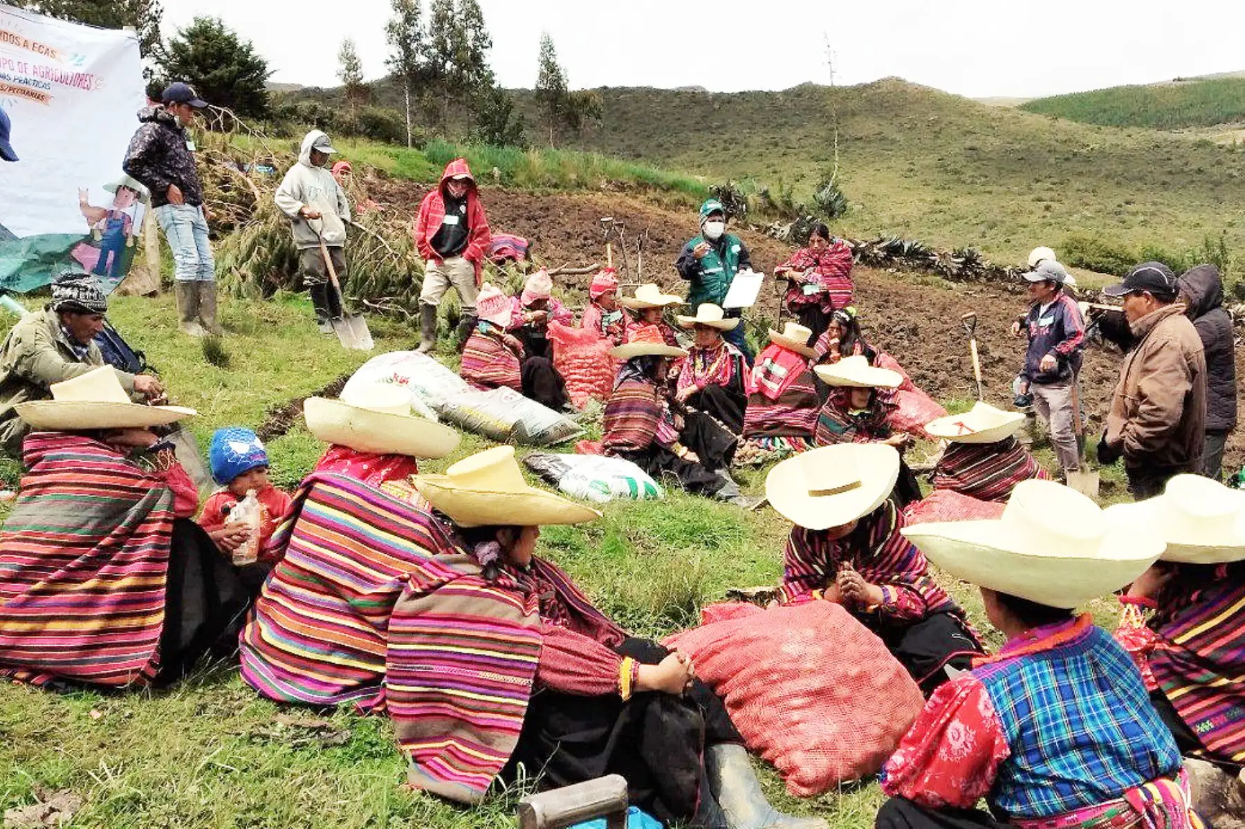 Foto: ANDINA/difusión.