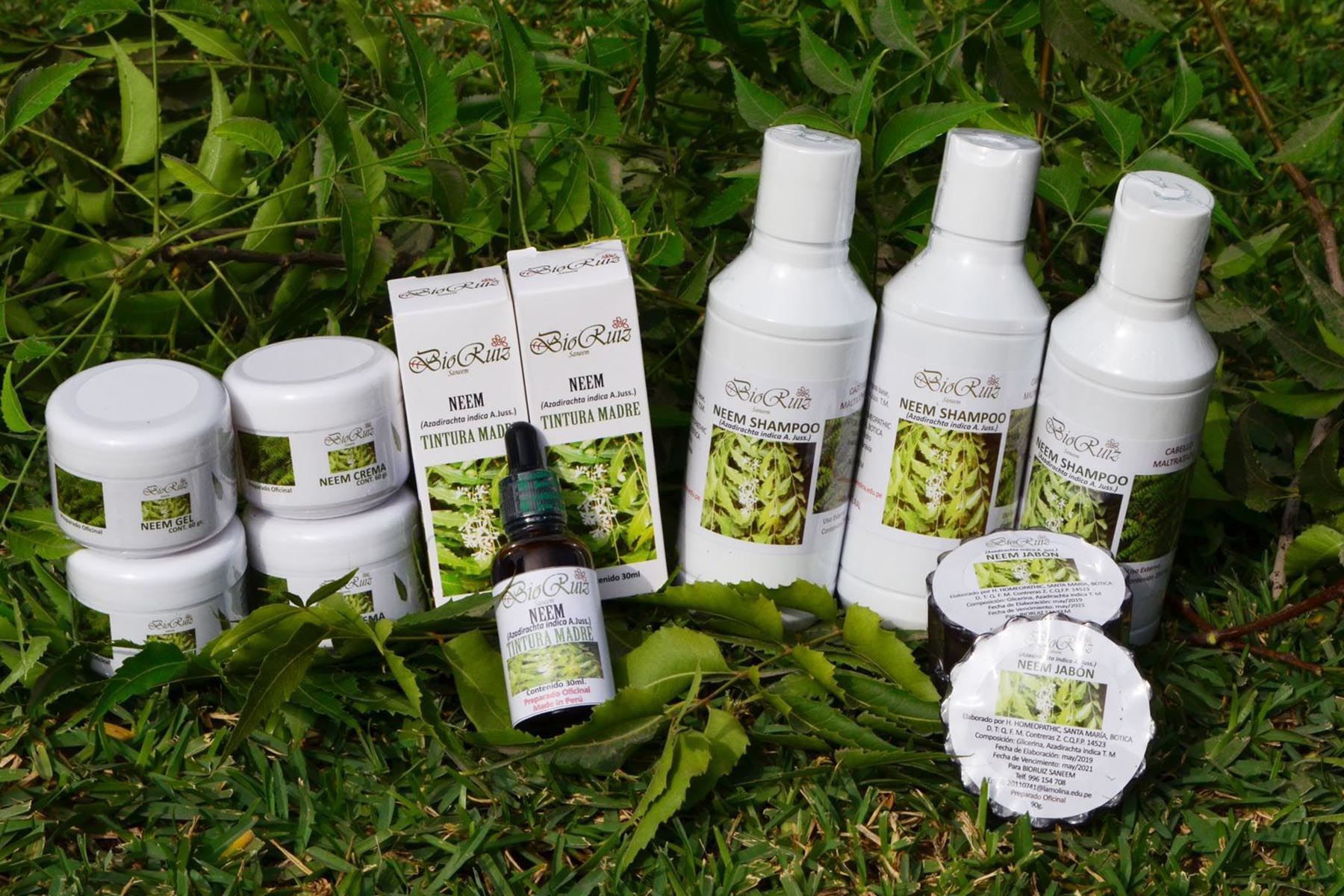 Investigadora de la Universidad Agraria La Molina elabora productos a base del árbol de neem