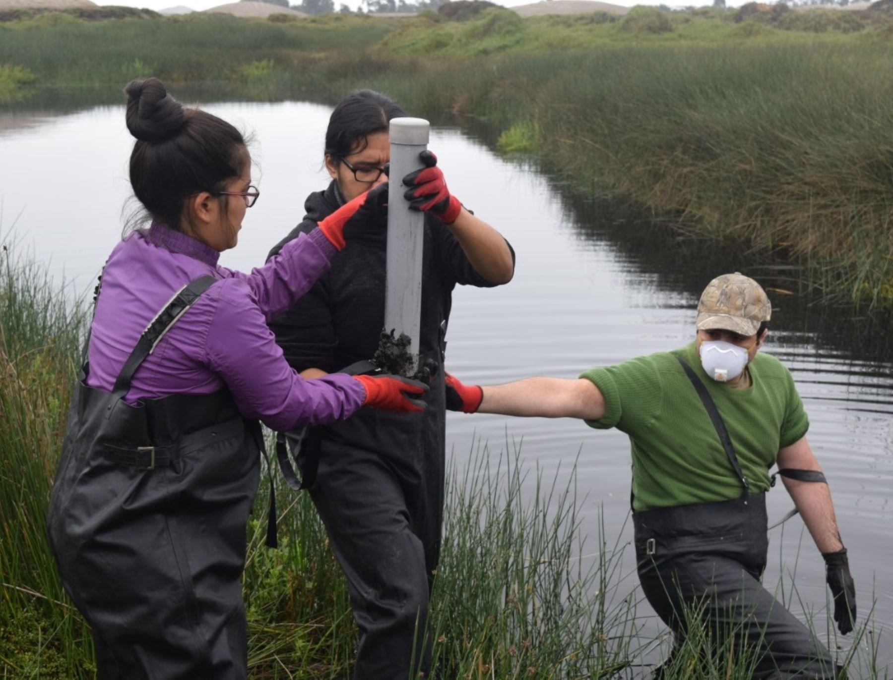Investigadores peruanos desarrollan un proyecto que busca determinar el potencial valor económico de los humedales.