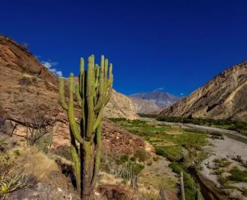 Los Bosques Secos del Marañón, es la tercera área de conservación regional de Cajamarca reconocida oficialmente por el Ministerio del Ambiente.